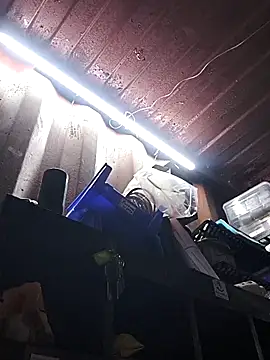 rajstrip12650 online show from December 2025 09:26:02 AM