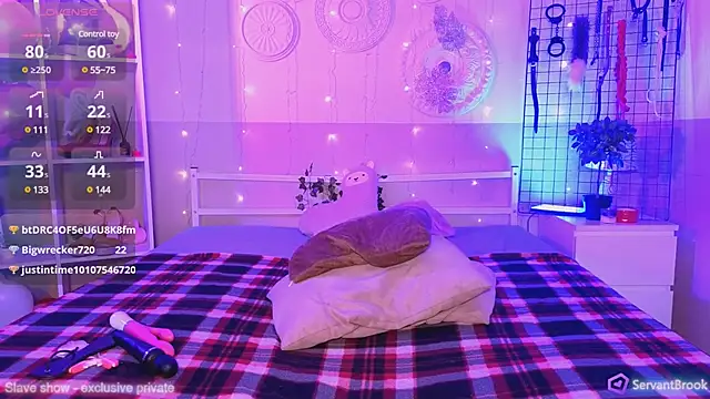 Snapshot of ServantBrook chatting on February 2025 09:11:01 AM ServantBrook online show from February 2025 09:11:01 AM