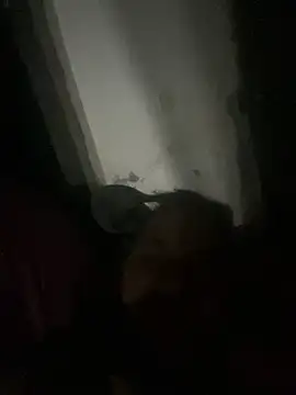 punhetaba online show from February 2026 03:48:02 AM