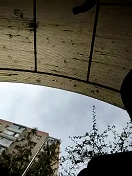 J0nyhson online show from March 2025 07:31:02 AM