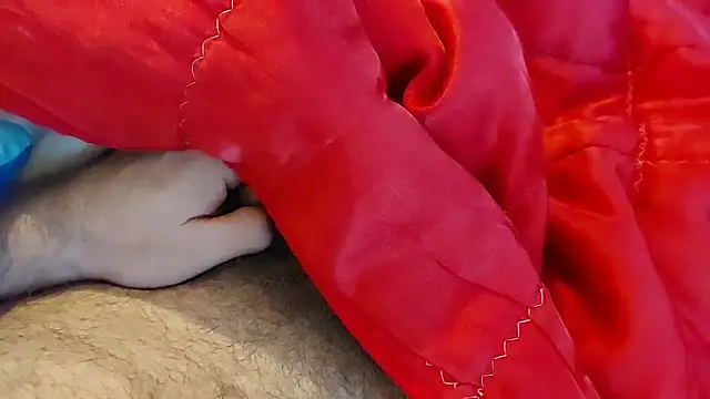 Ettarak online show from February 2026 12:14:02 AM