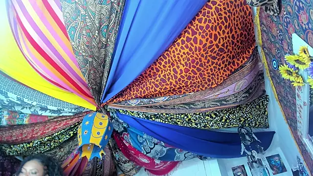 Snapshot of ElizaGrey_ chatting on January 2025 10:17:02 AM ElizaGrey online show from January 2025 10:17:02 AM