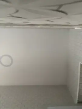 Lia flowers online show from February 2025 10:43:02 PM