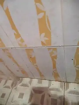 Sanjaymartin29 online show from February 2025 03:37:02 AM