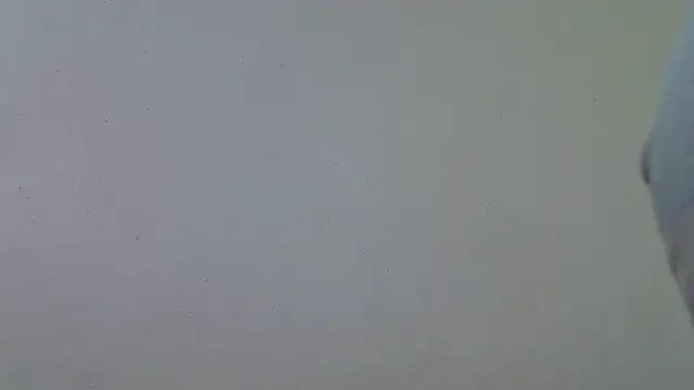 AddictiveAssCurves online show from March 2026 08:39:02 AM