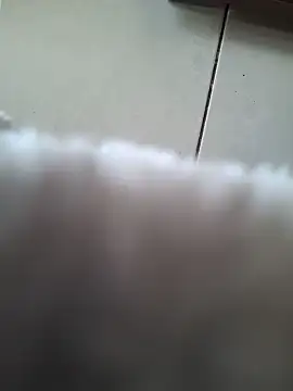 biboii online show from February 2025 03:00:01 PM