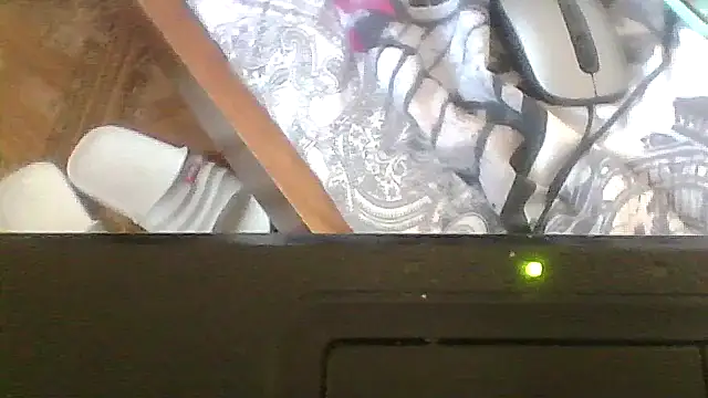 ShawnaAdams online show from February 2026 10:00:01 AM