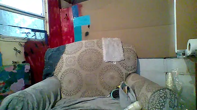 Snapshot of spundarella420 chatting on March 2025 01:21:01 PM spundarella420 online show from March 2025 01:21:01 PM