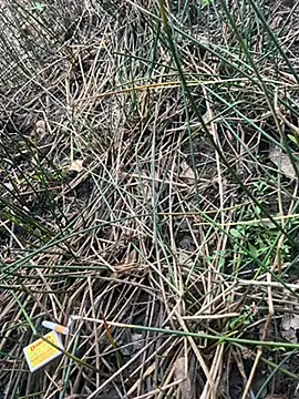 Snapshot of Yurt000 chatting on September 2025 04:57:01 AM Yurt000 online show from September 2025 04:57:01 AM