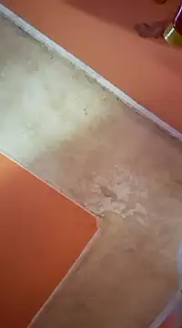 Snapshot of ducicsajsziii chatting on March 2025 07:26:01 AM ducicsajsziii online show from March 2025 07:26:01 AM