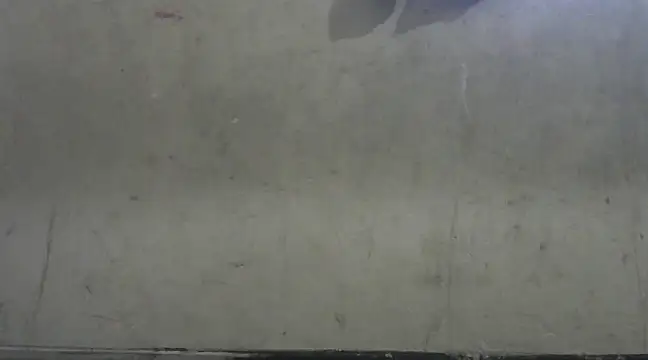 Snapshot of shekira99 chatting on January 2025 02:43:02 AM shekira99 online show from January 2025 02:43:02 AM