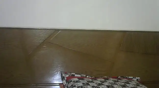 Snapshot of shekira99 chatting on January 2025 02:21:01 PM shekira99 online show from January 2025 02:21:01 PM