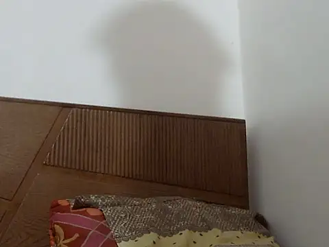 Snapshot of shekira99 chatting on September 2025 12:27:01 PM shekira99 online show from September 2025 12:27:01 PM