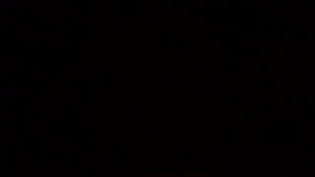 littleone01234 online show from September 2025 10:14:02 PM