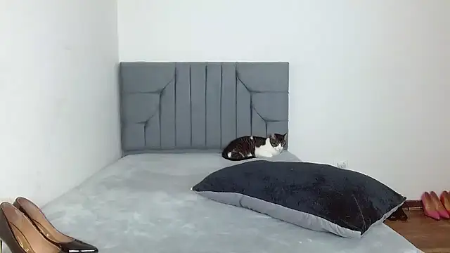 celeste 2023 online show from January 2026 02:36:01 AM