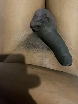 Snapshot of xforx chatting on February 2026 12:37:02 AM xforx online show from February 2026 12:37:02 AM