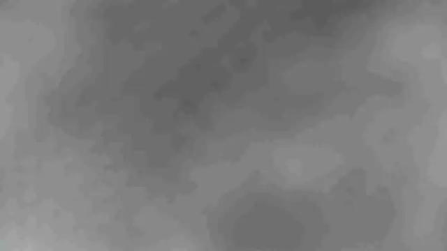 sclax38 online show from January 2025 10:05:02 AM