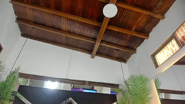 emily-fox online show from March 2026 01:28:01 PM