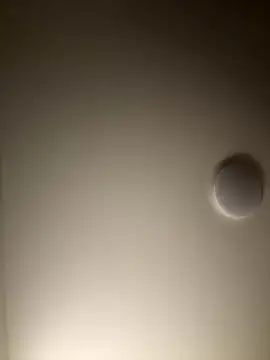 Snapshot of Dreamer553 chatting on December 2025 12:31:02 AM Dreamer553 online show from December 2025 12:31:02 AM