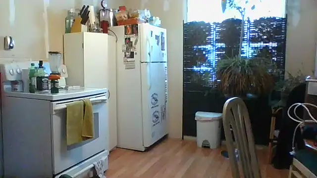 Daremeknot online show from February 2025 07:05:02 PM