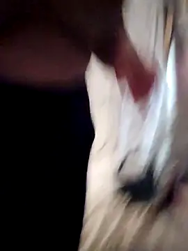 Snapshot of sweetkitty111 chatting on February 2026 08:27:01 PM sweetkitty111 online show from February 2026 08:27:01 PM