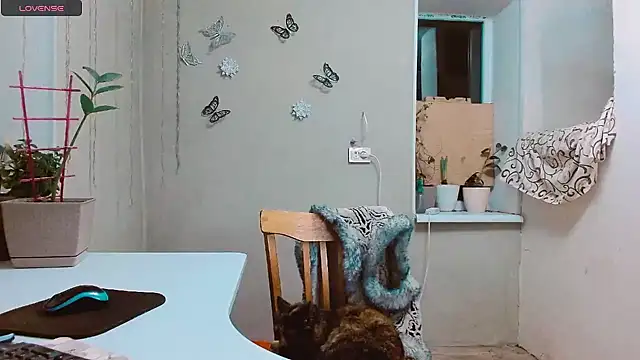 RosaJil online show from January 2025 04:08:01 PM