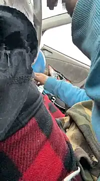 Followthepiper online show from March 2025 03:42:01 PM