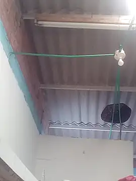 Snapshot of mailo_bronw chatting on March 2026 03:13:02 PM mailo bronw online show from March 2026 03:13:02 PM