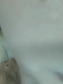 Elza kom online show from March 2025 07:51:02 AM