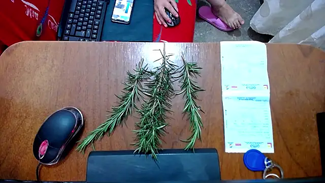 Snapshot of Malaya88 chatting on February 2025 04:42:02 PM Malaya88 online show from February 2025 04:42:02 PM