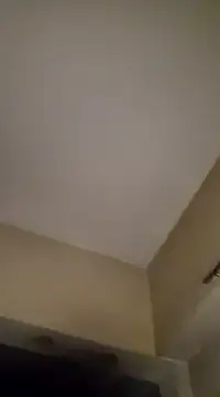 gala2 online show from January 2025 06:31:02 AM