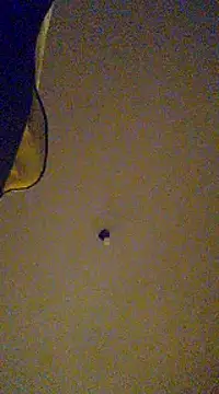 gala2 online show from February 2025 08:06:02 AM