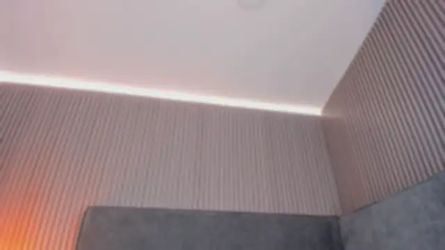 Snapshot of emelie_89 chatting on January 2026 11:56:01 AM emelie 89 online show from January 2026 11:56:01 AM