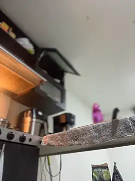 JulianaCastillo online show from April 2026 09:18:01 AM