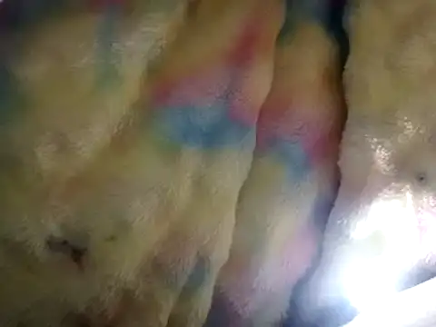 Moreno1813 online show from March 2025 02:55:02 PM