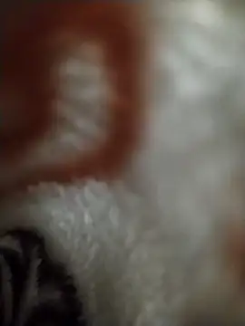 FantasticWonders9 online show from April 2026 10:26:02 PM