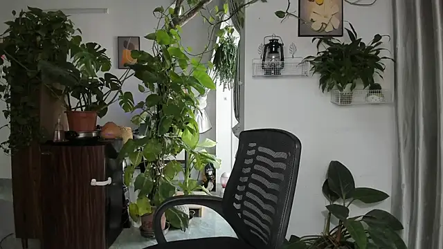 Oliver Nl online show from November 2025 04:48:02 AM