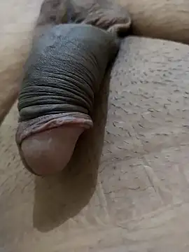 Dog546i online show from September 2025 04:50:01 PM