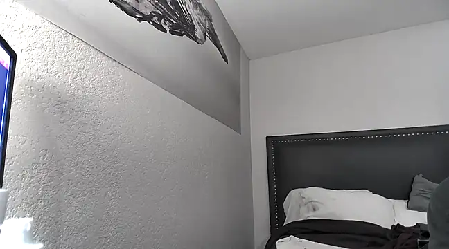 Phattpinktaco online show from February 2025 07:00:01 AM