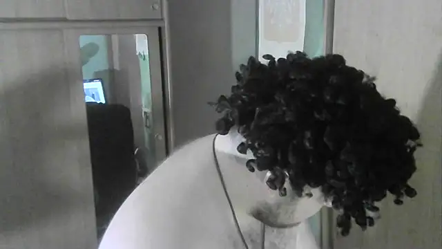 perversalus online show from November 2025 07:18:02 AM