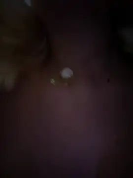 Enyeld ruru online show from February 2025 12:09:01 AM