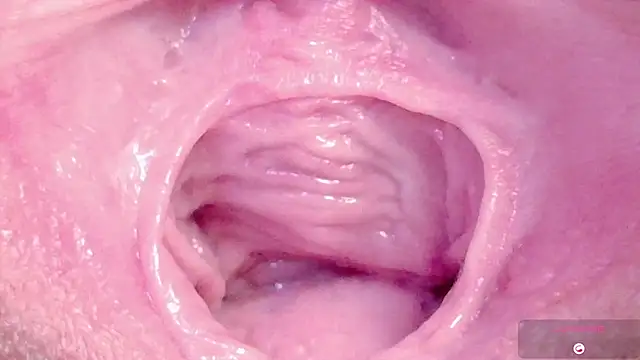 Alu ryu online show from March 2026 11:11:02 PM