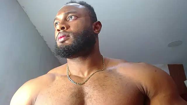 George Dominator online show from November 2025 01:50:02 AM