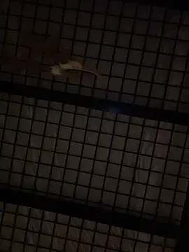 SexyB214 online show from December 2024 12:44:02 PM