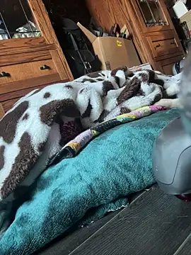 SexyB214 online show from March 2025 12:15:01 AM