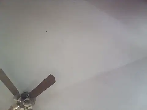 SexyB214 online show from October 2025 11:55:01 PM