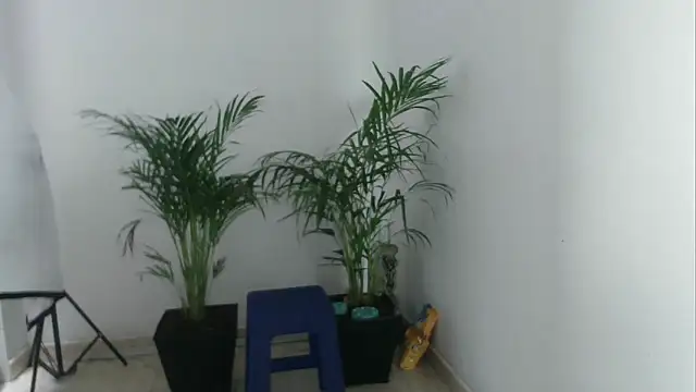 skylarhot420 online show from March 2025 03:07:01 PM