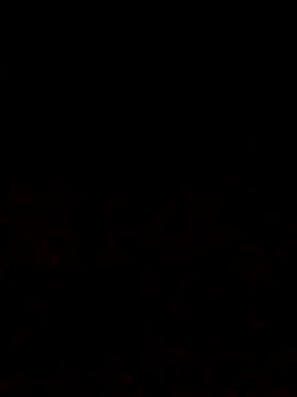 Snapshot of Adee21e chatting on October 2025 06:51:02 PM Adee21e online show from October 2025 06:51:02 PM