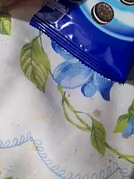 Snapshot of Adee21e chatting on November 2025 02:54:02 AM Adee21e online show from November 2025 02:54:02 AM