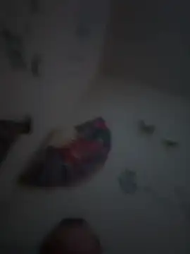 PnP4U2 online show from January 2026 06:39:01 AM